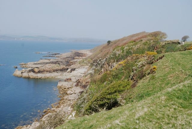 View across windswept wood from near Torrs Point